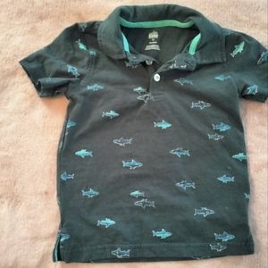 Collar shark dress shirt